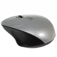 Мышь Smartbuy 309AG Silver/Black (SBM-309AG-SK) фото 1